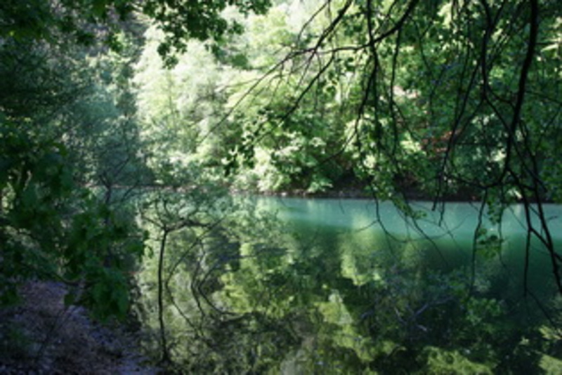 Wahnbach